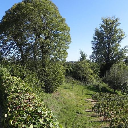 Chateau Belles Graves Acomodação com café da manhã Pomérols Exterior foto