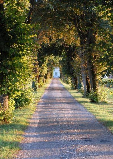 Chateau Belles Graves Acomodação com café da manhã Pomérols Exterior foto