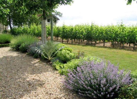 Chateau Belles Graves Acomodação com café da manhã Pomérols Exterior foto