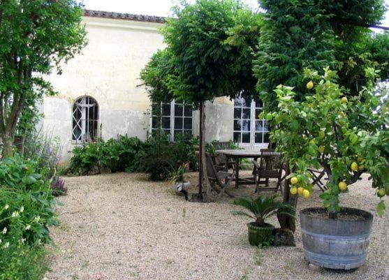 Chateau Belles Graves Acomodação com café da manhã Pomérols Exterior foto