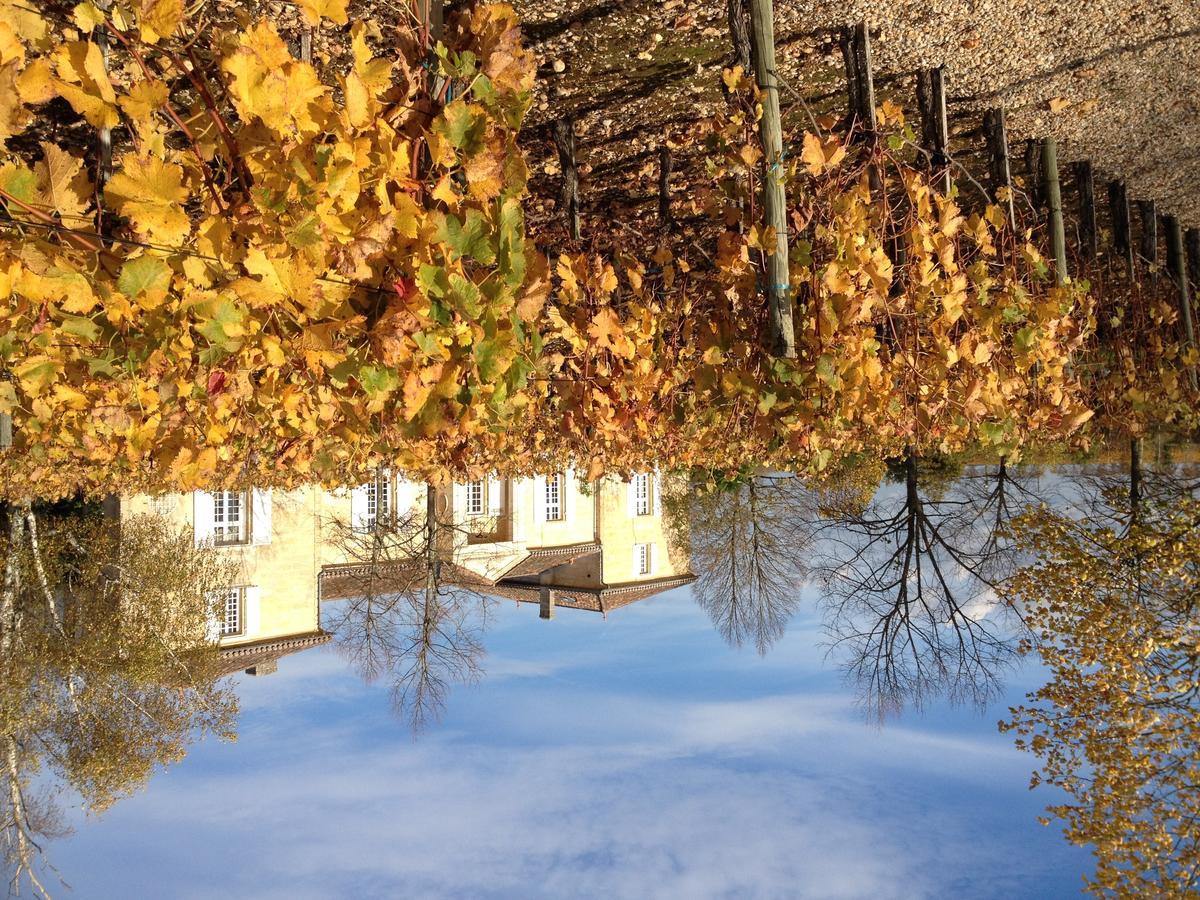 Chateau Belles Graves Acomodação com café da manhã Pomérols Exterior foto